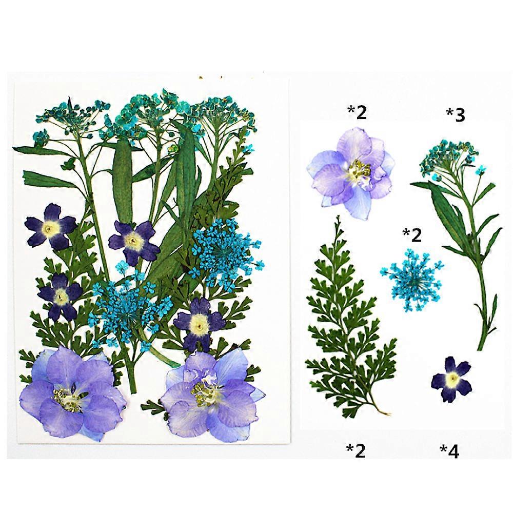 Gitarr Belcat Alnico Humbucker Bridge Neck Pickups Set för gitarrdelar Chrome