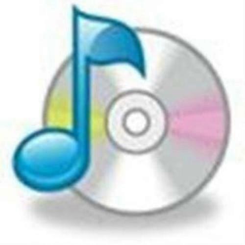 Junkhouse Strays CD