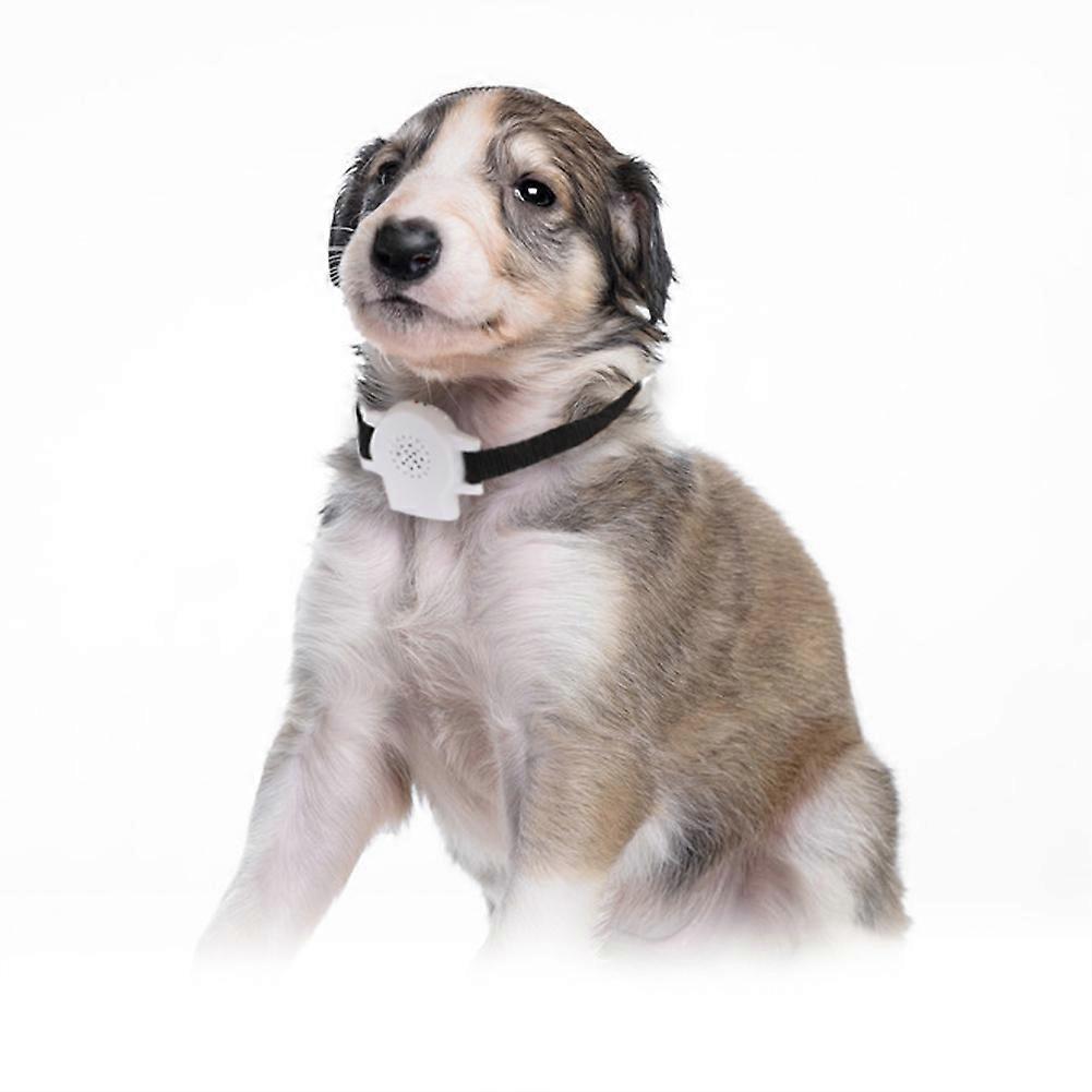 Ultrasonic Auto Anti Bark Dog Collar with Sound Recording