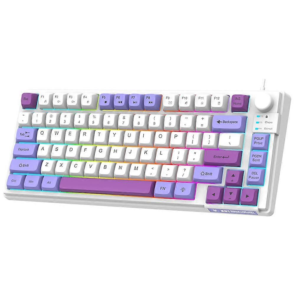 Gaming Colourful Backlit 81-Key with Three-Color Matching Keycaps MDA Height Ball Cap 26-Key N-Key Rollover Office Keyboard