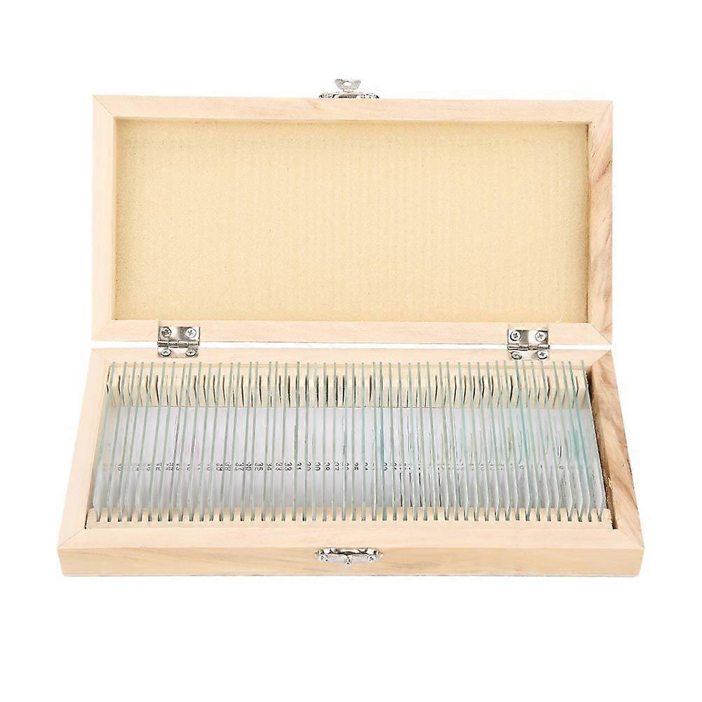 High quality  50pcs set mixed English label microscope slides plant animal insect tissue s