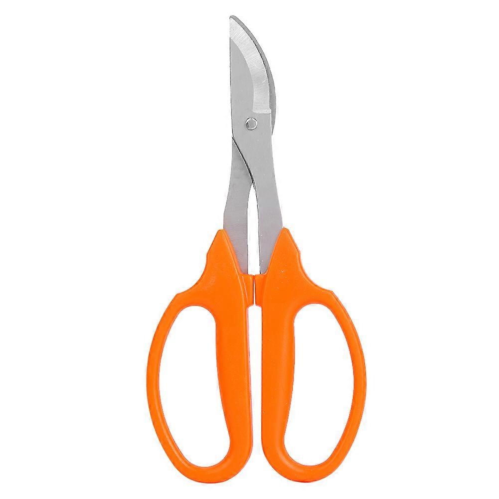 Horticultural pruning tools Sharp cutting, precise pruning