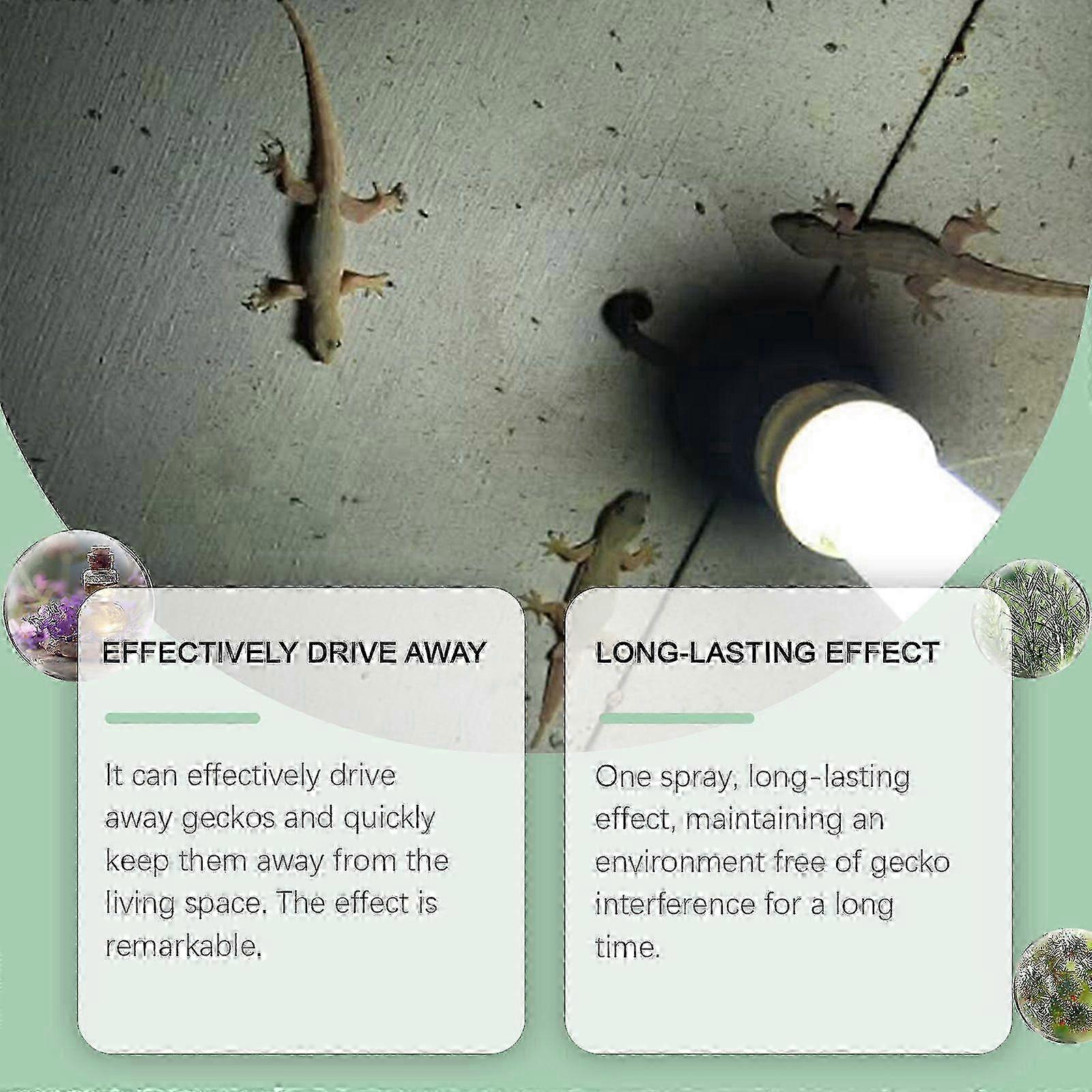 Gecko Repeller Spray 50ml Indoor Insect Repellent Spray | Safe & Effective Lizard Deterrent for Home Use