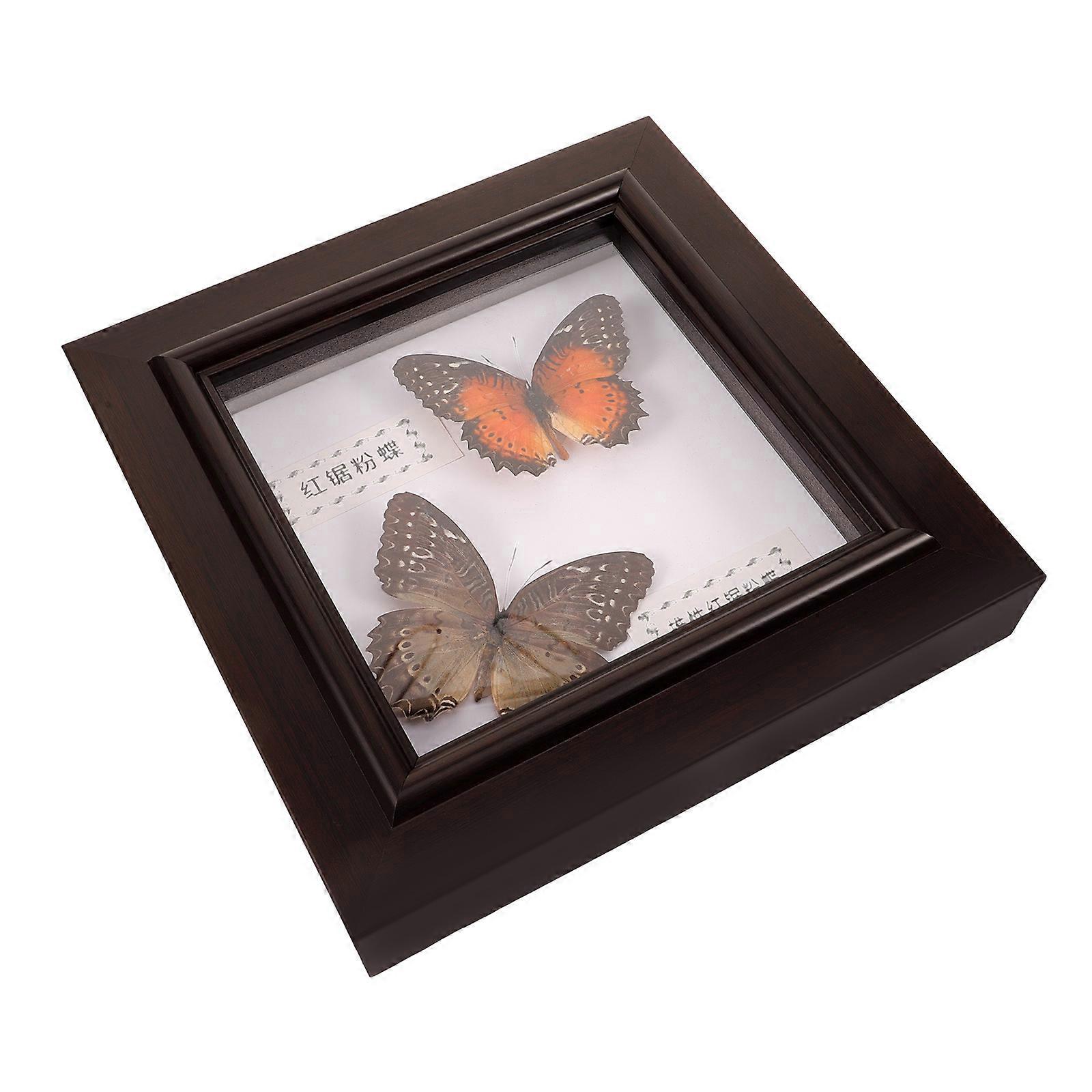 Specimen Display Frame Framed Butterfly Collection Home Decor Vintage Style 17X17X3.5CM 1Set