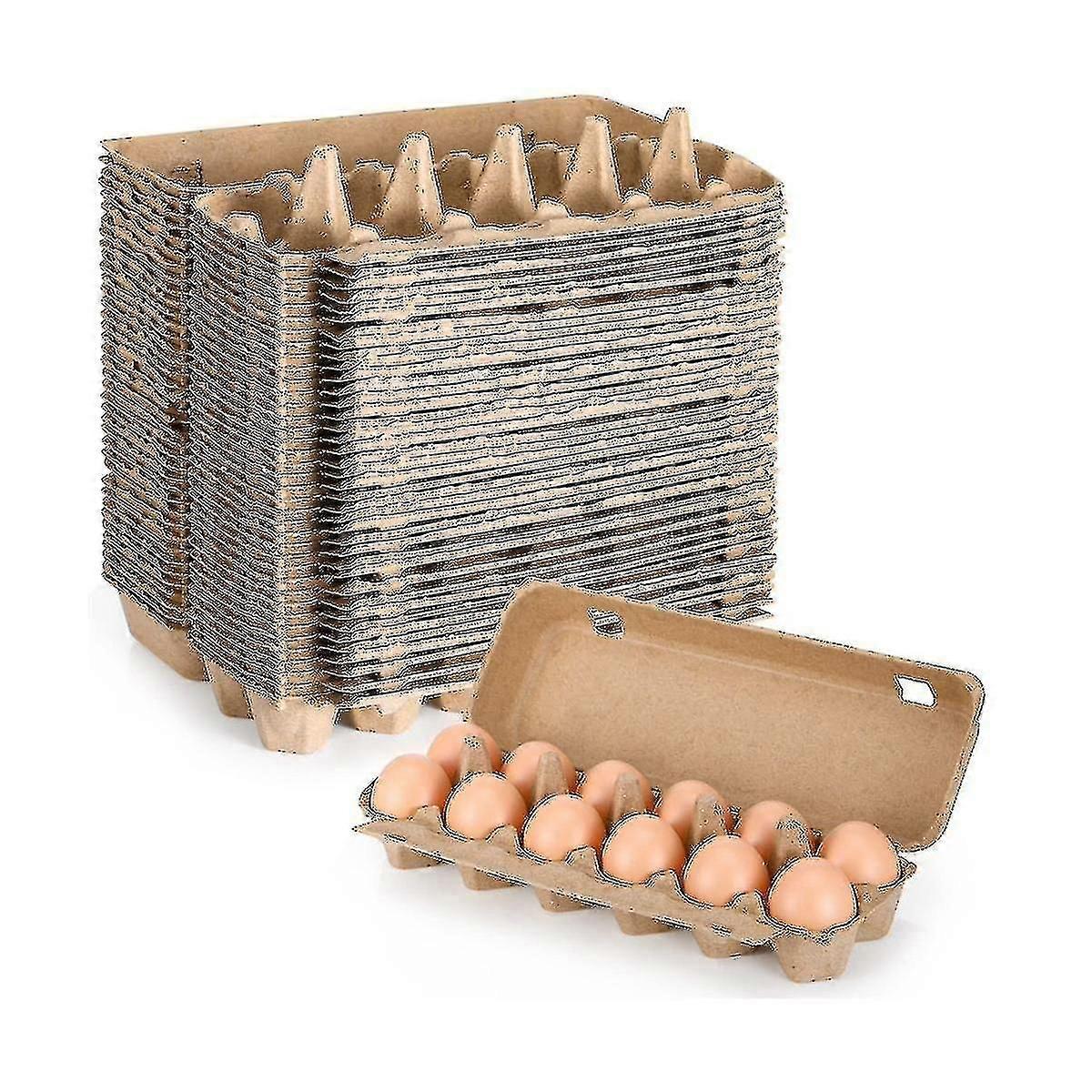 20pcs Cardboard Egg Cartons Blank Paper Pulp Egg Cartons One Dozen Egg Cartons Container Empty Egg