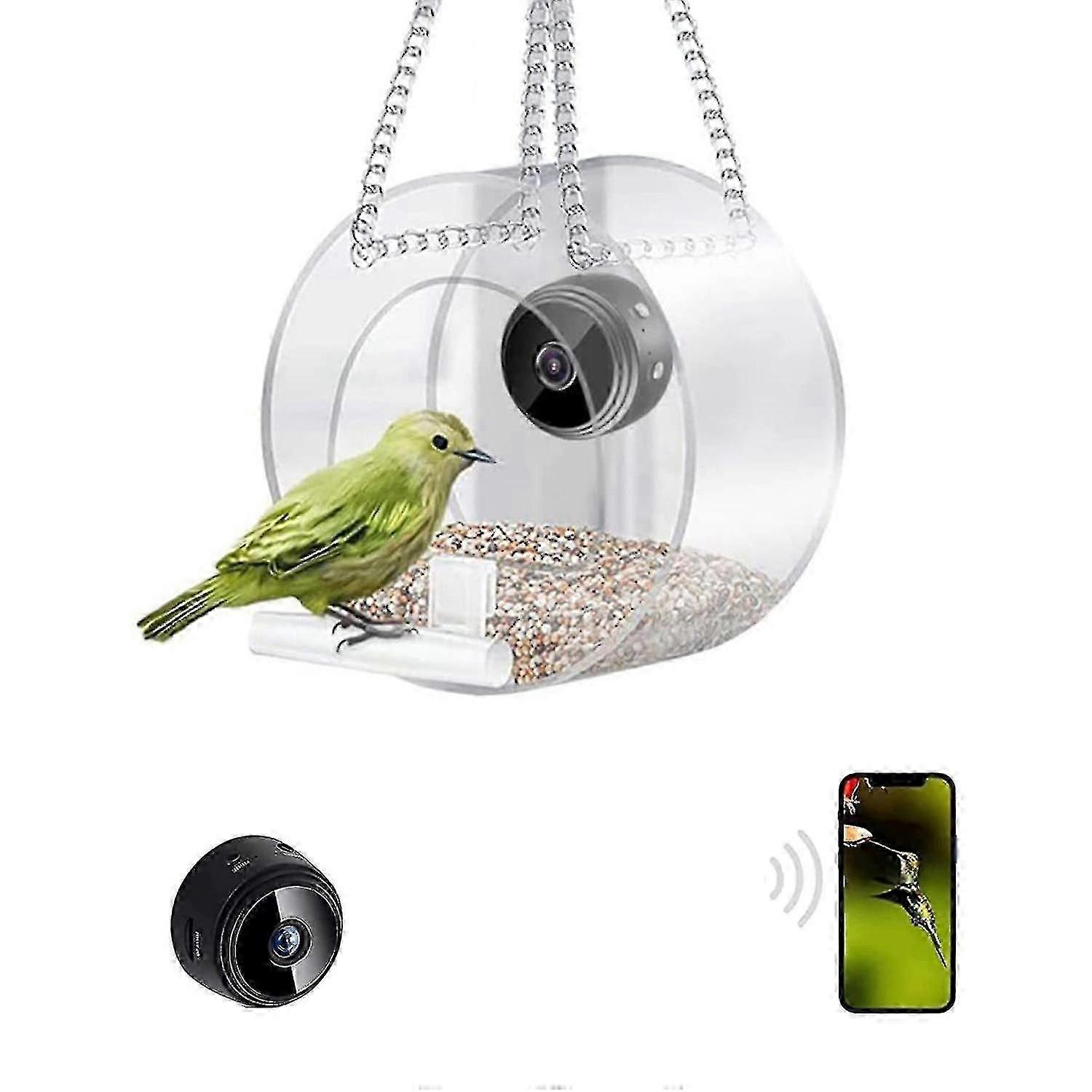 Smart Bird Feeder with Camera Auto Capture Bird Videos