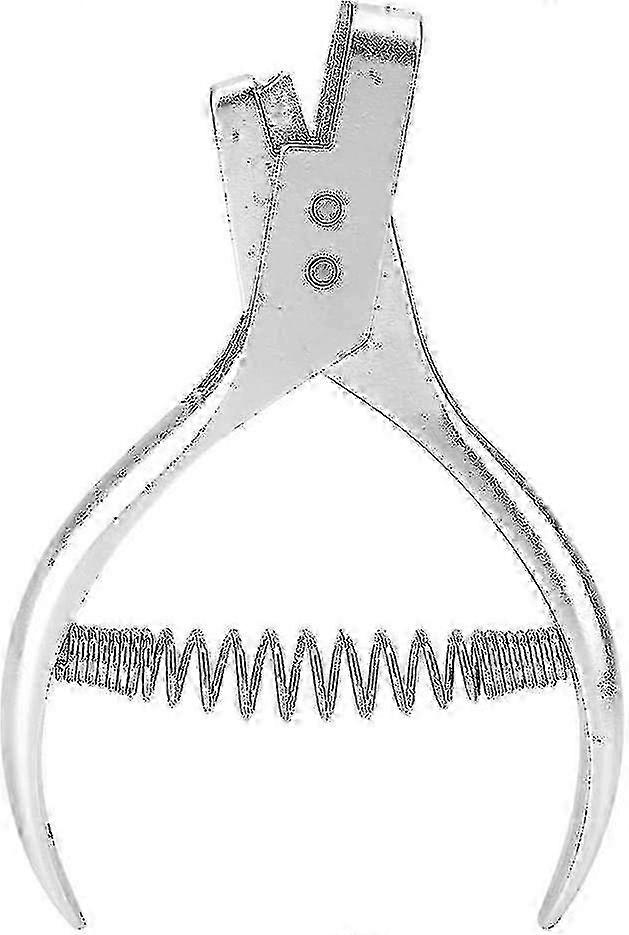 2025 Punch Pliers with Spring
