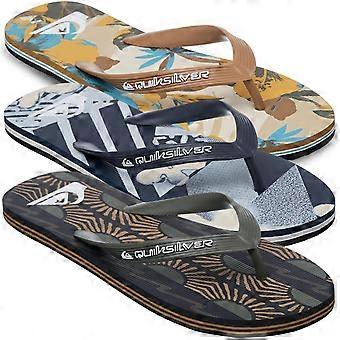 Quiksilver Mens Molokai Art Flip Flops