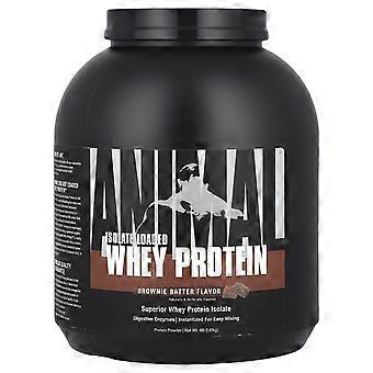 Animaliskt vassleprotein med isolat, browniesmet, 1,81 kg