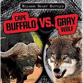 Kaffernbüffel gegen Grauwolf