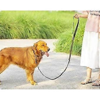 Nylon Training Hundeleine für kleine mittelgroße Hunde, 10Ft 15Ft 20Ft 30Ft lange Leine Hund / Welpe Blei-Grün 6M * 2,5Cm