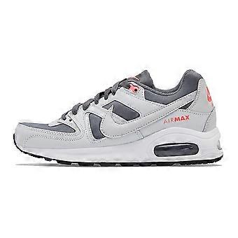 Nike Air Max Command Flex 'Gray White' GS 844349-001