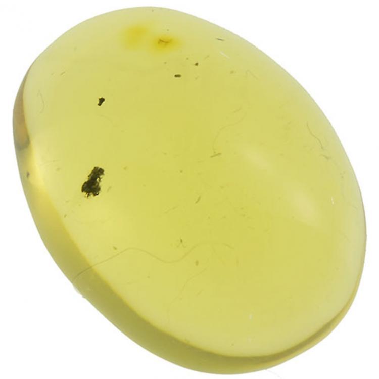 4.19ct Amber Cabochon Oval 16x14mm awo15
