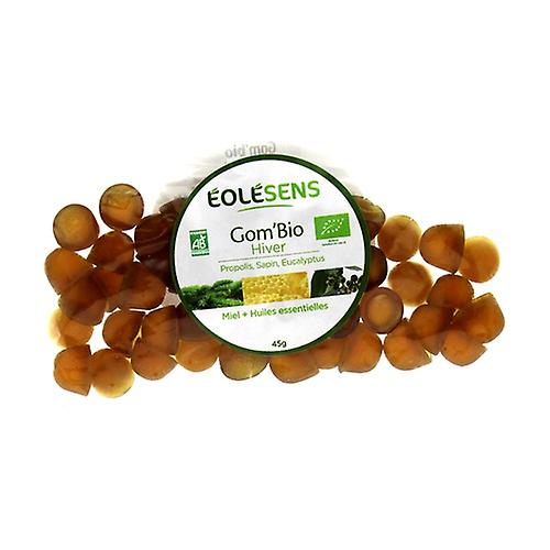 Gom'Bio Organic Winter Refill 45 g (Honey)