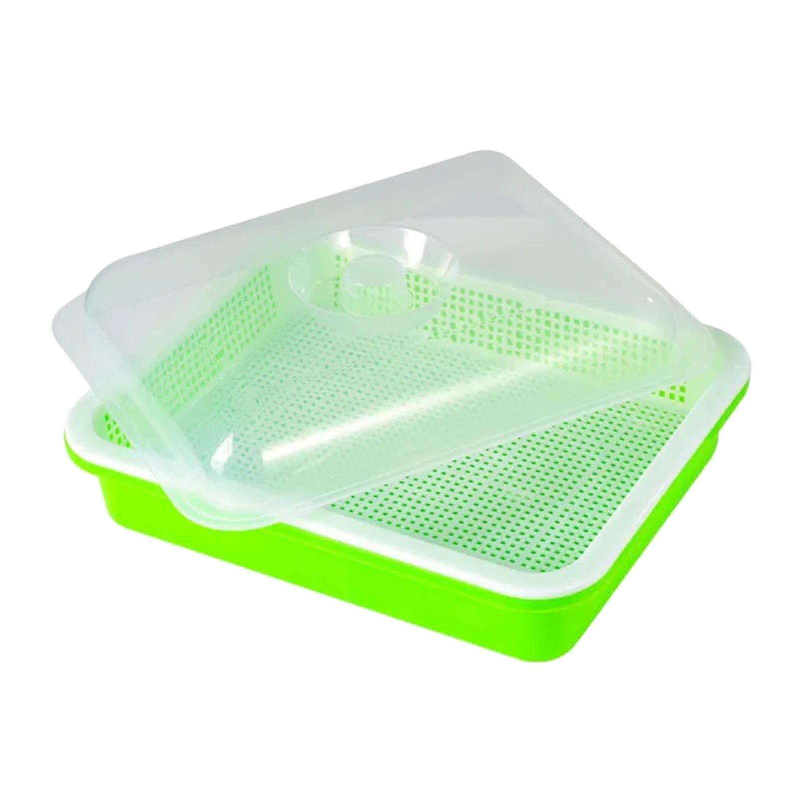 Garden Seed Sprouter Tray Microgreens Growing Big Capacity Plant Germination Green