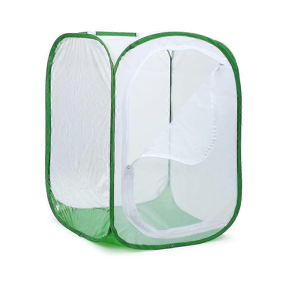 Tall Large Butterfly Habitat Cage Collapsible Terrarium Pop-up Lnches