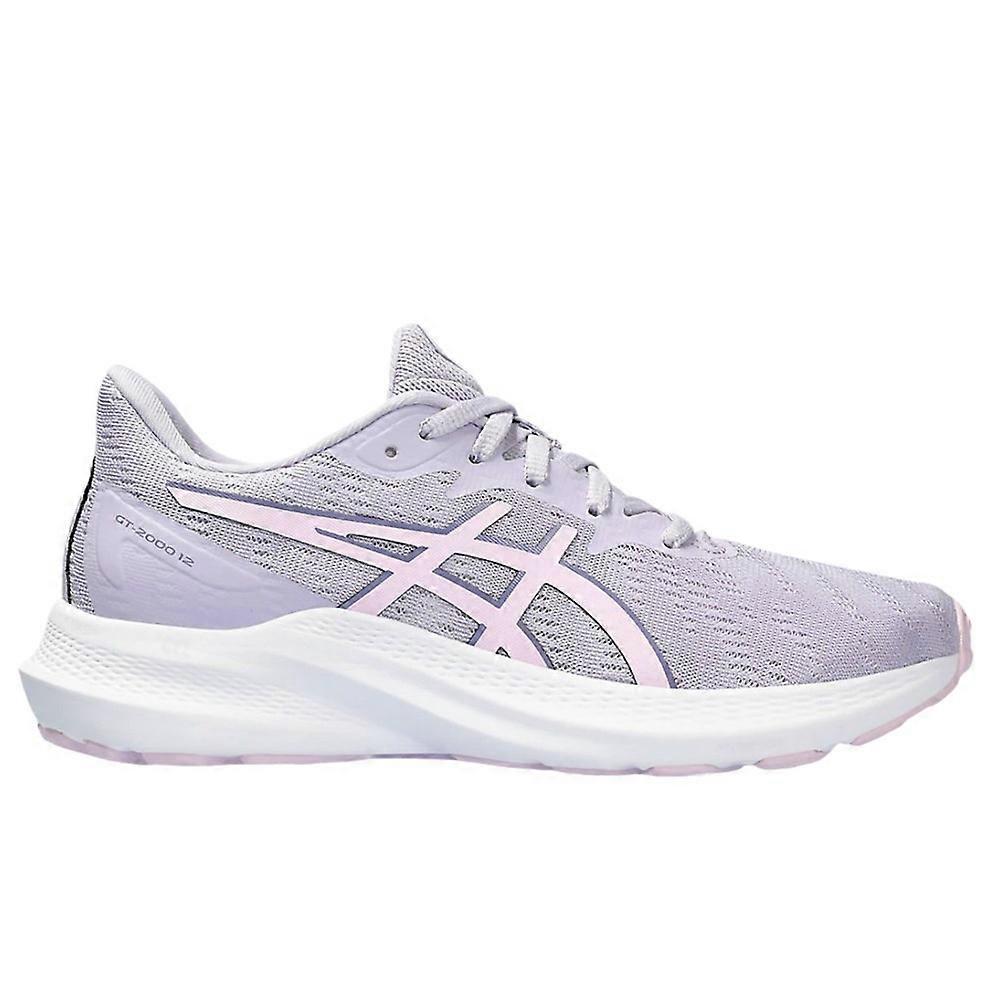Shoes Asics Gt-2000 12 Gs 1014A330500
