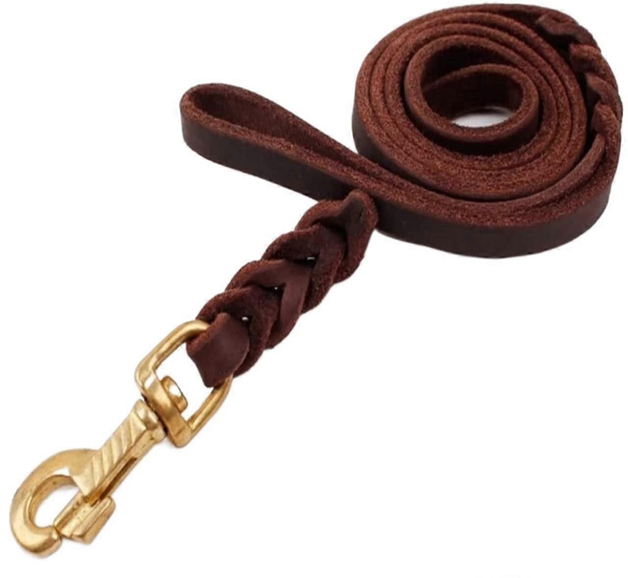 Dog Leash Set for Training Large and Medium Breeds, No Pull Reflective Durable Brown Nylon Collar and Lead Combo