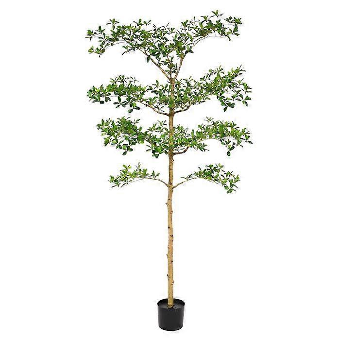 Artificial Bucida Buceras (180 cm)