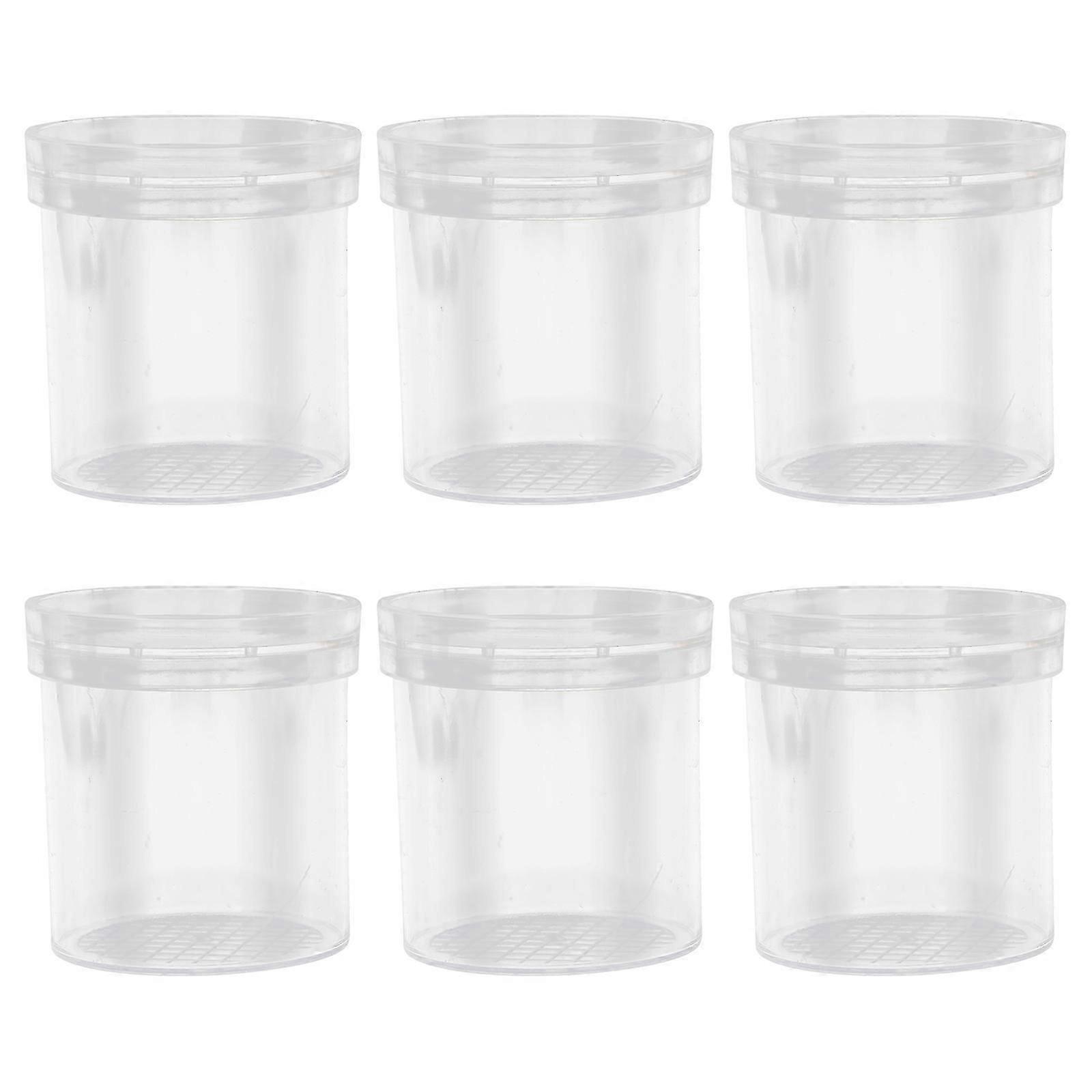 8pcs Bug Magnifier Viewer Box Insect Box Bug Container Box Science Nature Exploration Tools