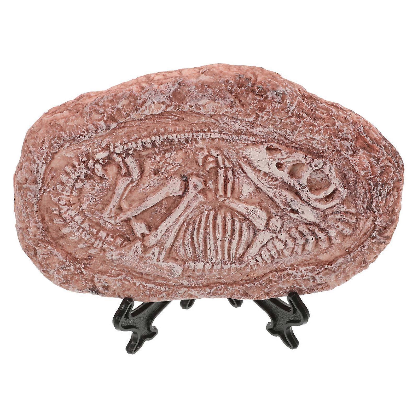 Dinosaur Specimen Resin for Model Decor 4Pcs Simulated Paleontology Ornaments