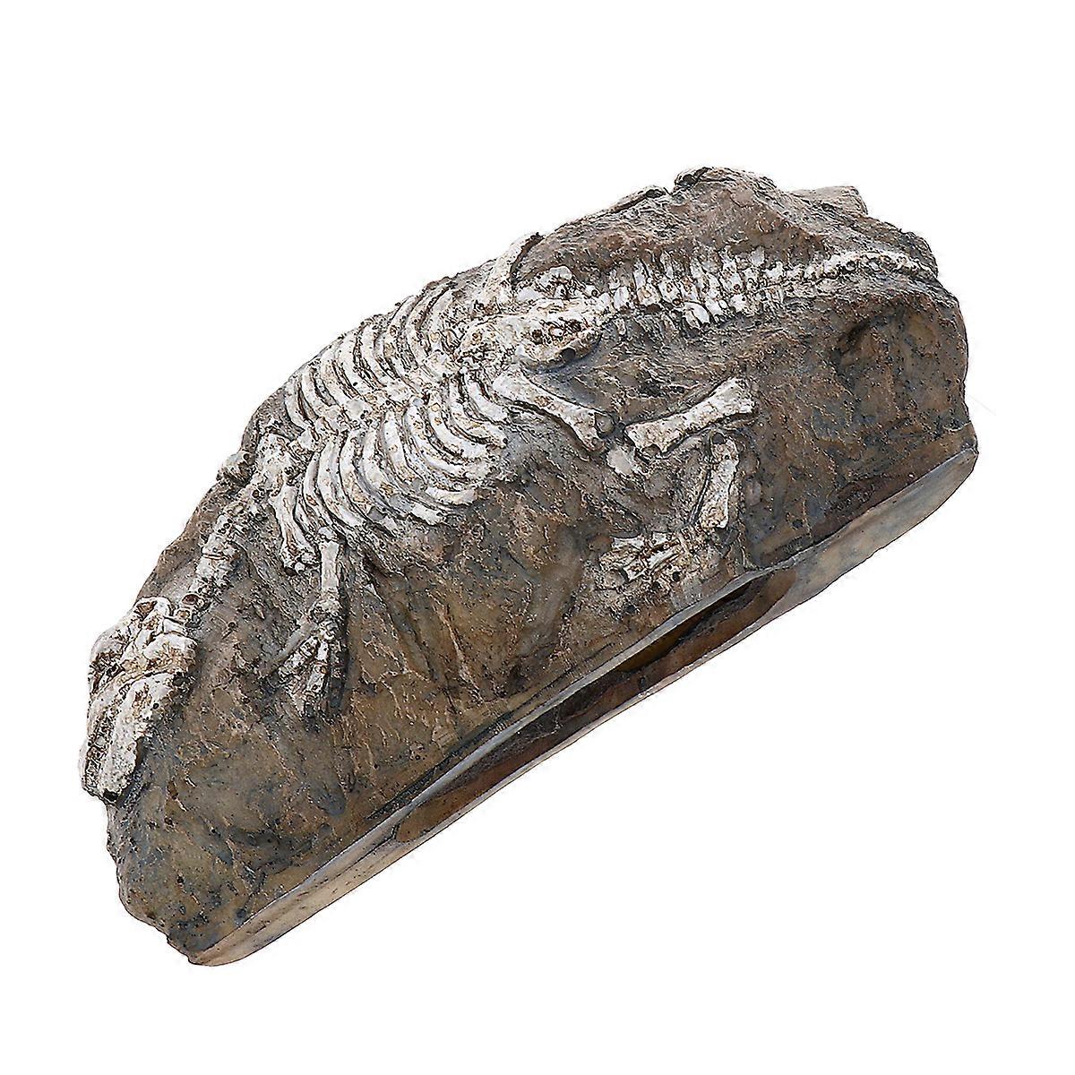 Fish Tank Decorations Dinosaur Fossil for Decoration 2Pcs Resin Craft Ornament