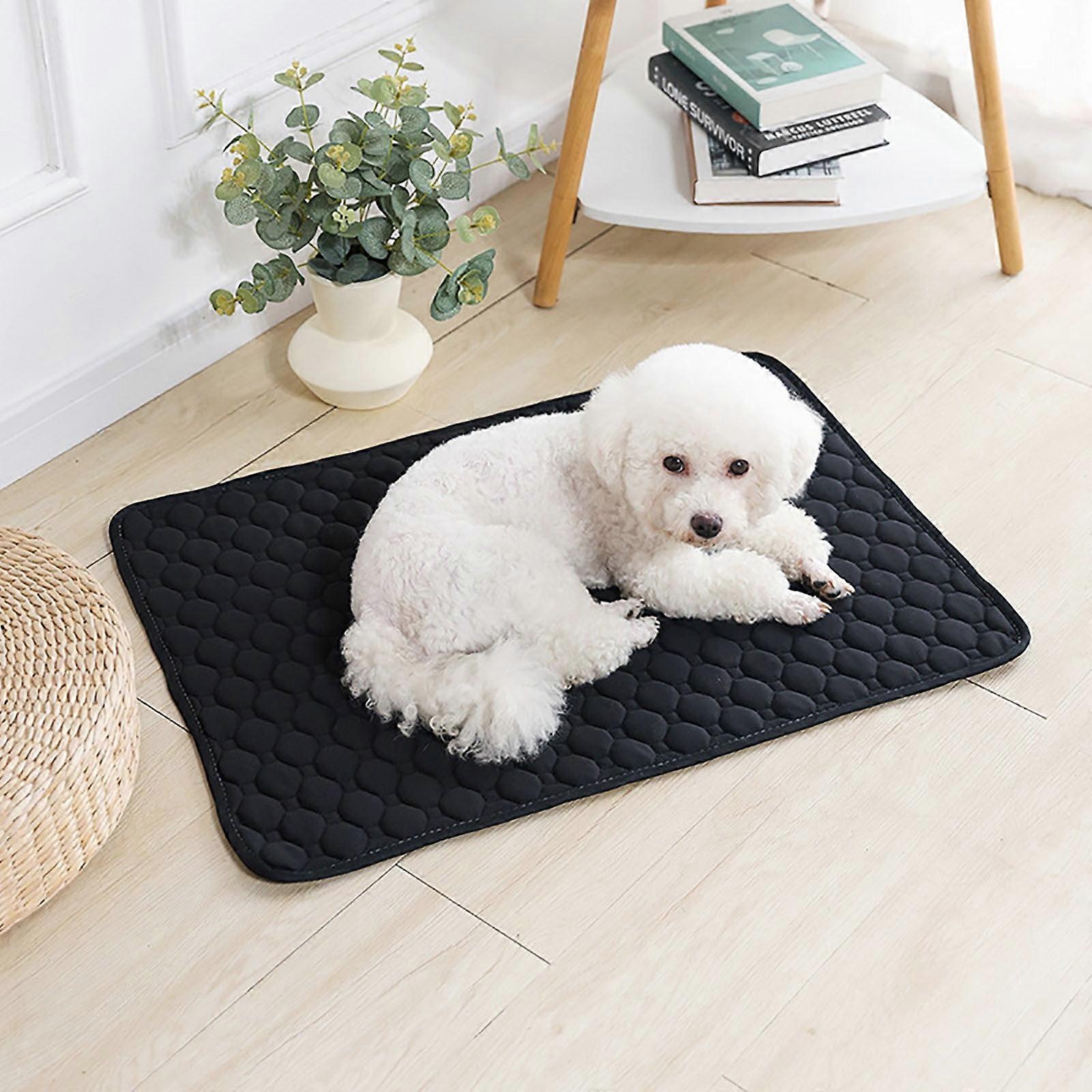 Up to 65% off Gnobogi Thickened Pet Urine Pad, compatible with training needs, deodorizing, washable, reusable, fast-drying on clearance