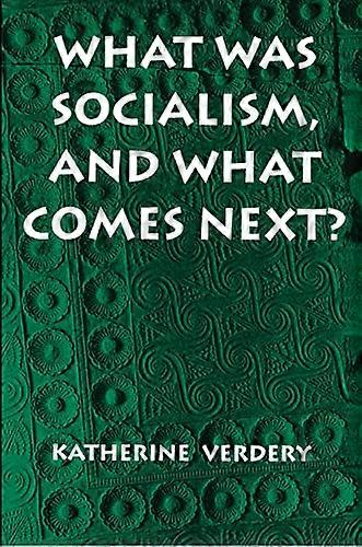 What Was Socialism and What Comes Next?
