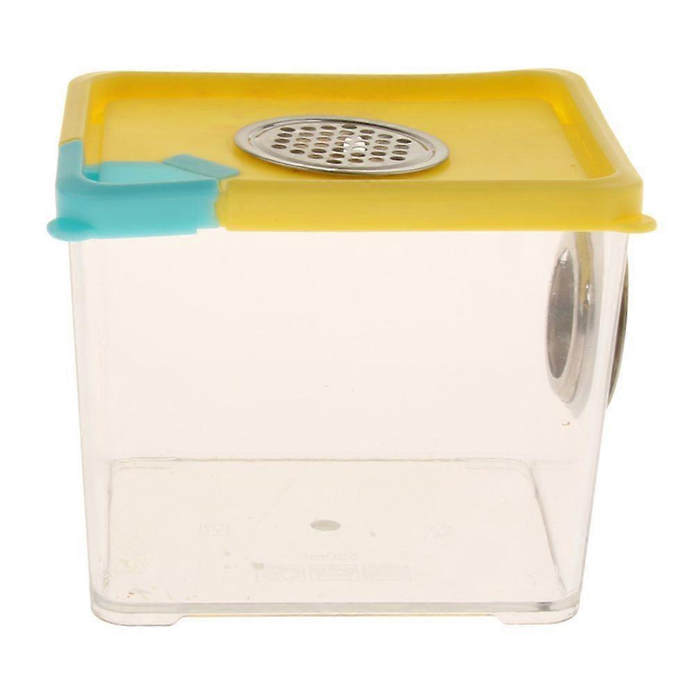 Frosch-Schlangen-Terrarium