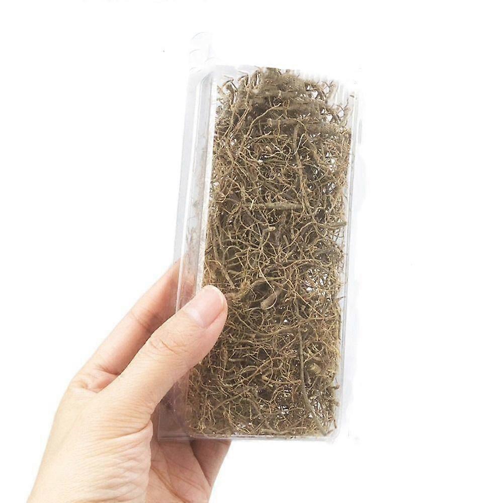 Fairy Garden Micro Landscape Simulation Tree Vines Roots Miniature Withered Rattans Scene Model