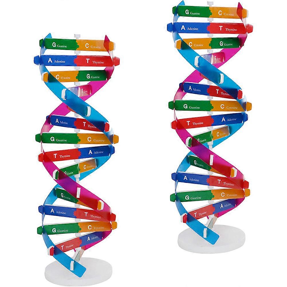 Double Helix Model Gene Dna for Science Educational Use 2Pcs