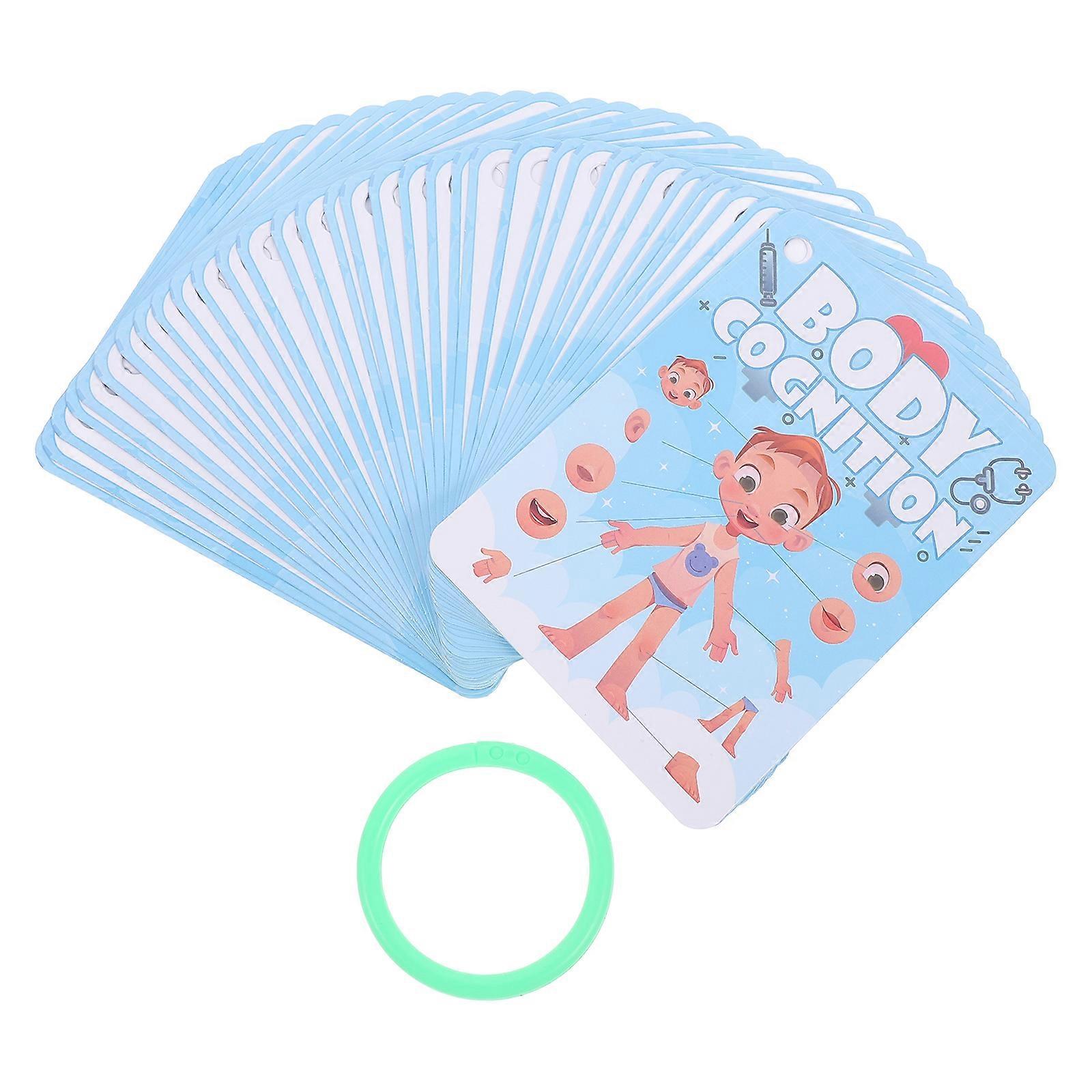 Body Learning Cards Toddler Flash Cards for Cognitive Development 4Sets