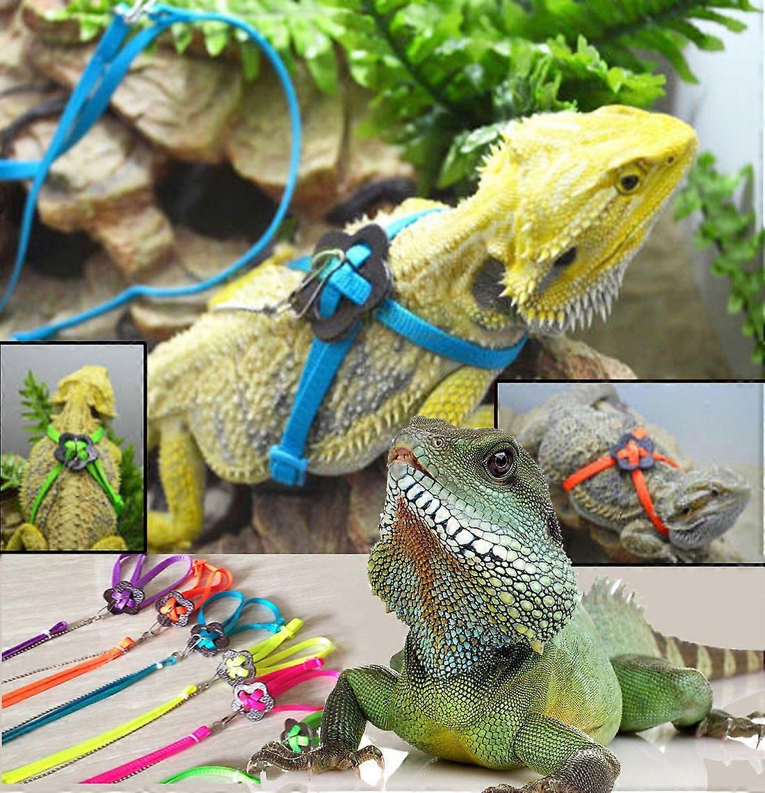 Adjustable Lizard Harness Leash for Small Reptiles Bearded Dragons Soft Comfortable Blue