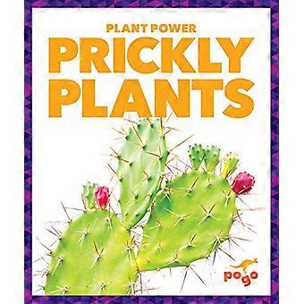 Piante spinose