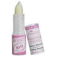 Lipstick Intense Nutrition Bio 1 unit