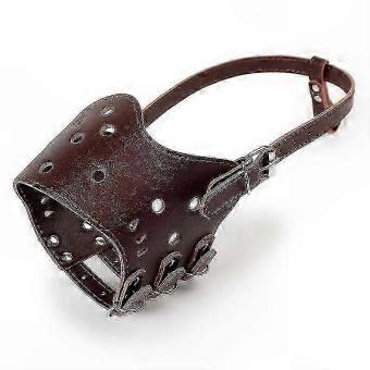 Comfort-Fit Padded Leather Muzzle