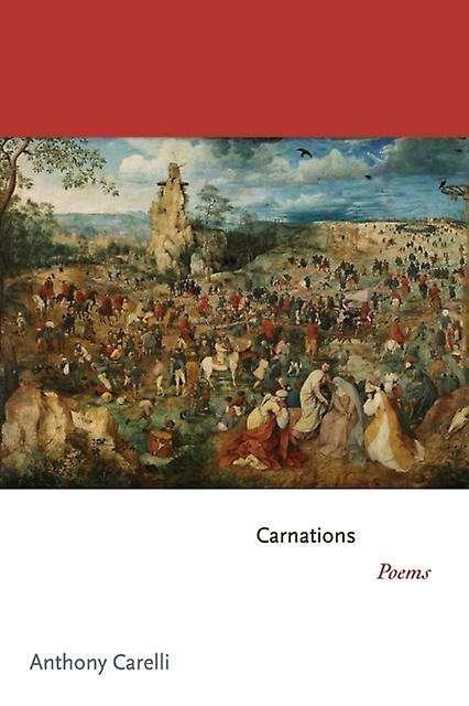Carnations by Anthony Carelli Paperback