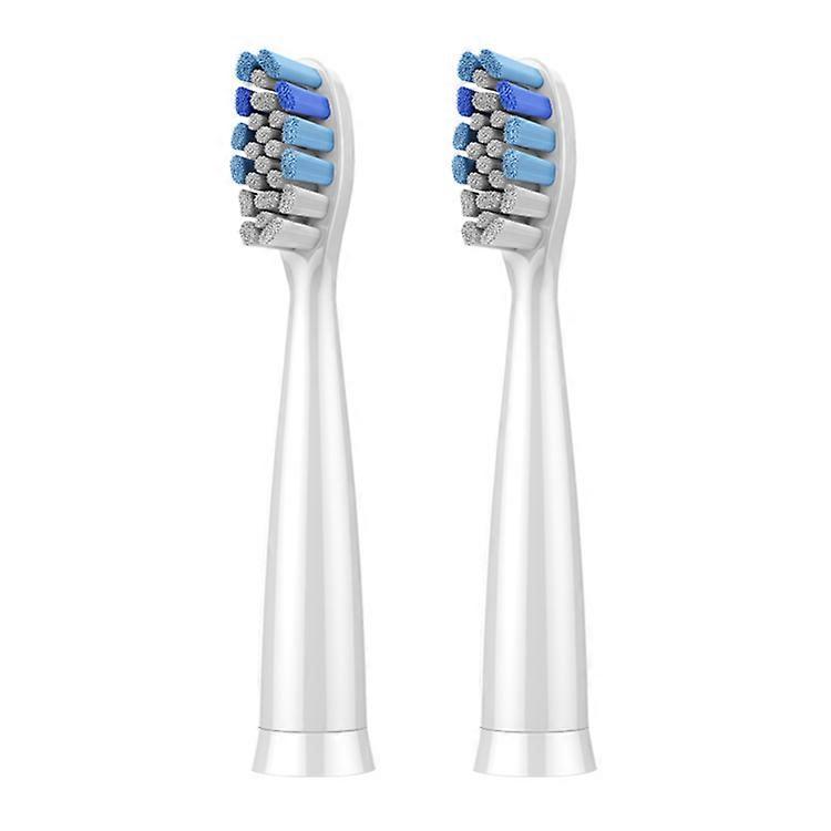 Replacement Best Electric Toothbrush Heads