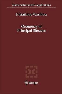 Geometry of Principal Sheaves