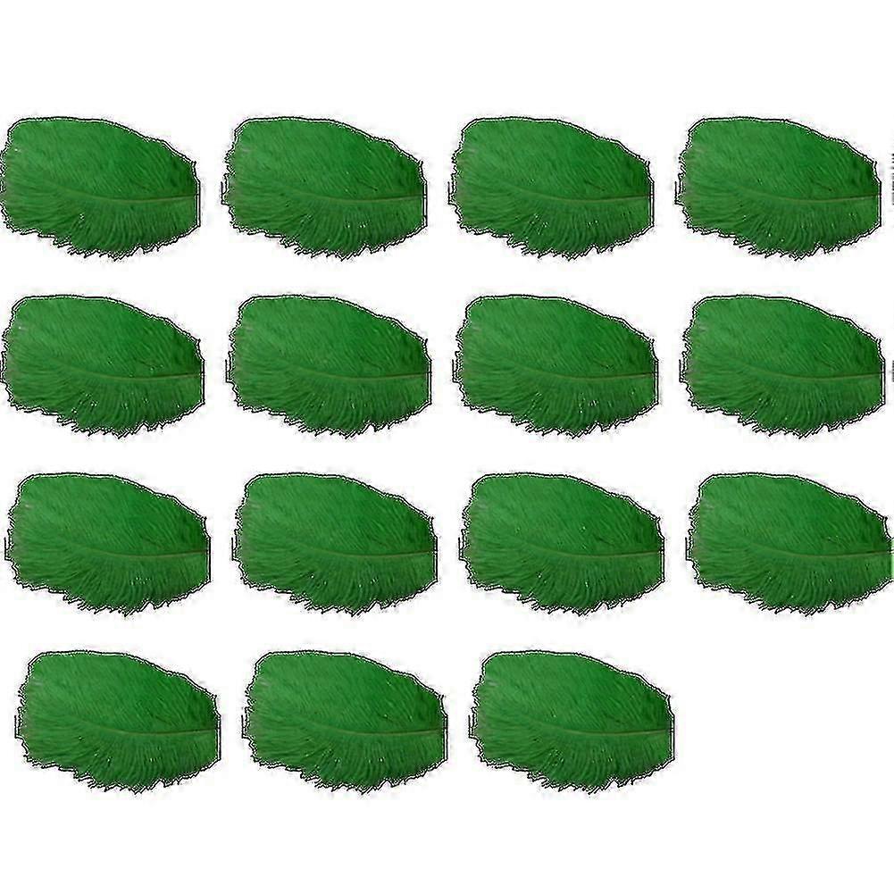 15 Stuks Natuurlijk Gekleurde Struisvogelveren voor Bruiloft Decor & Kleding - Groen