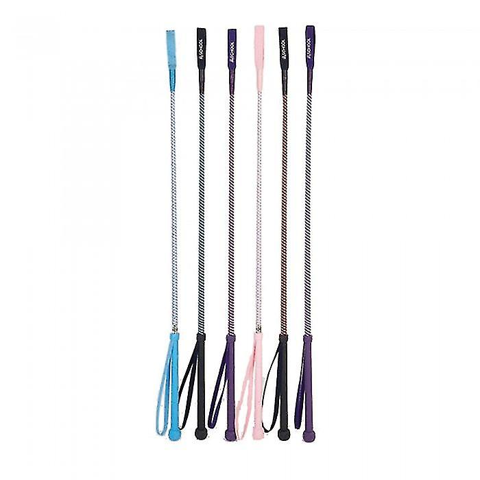 HySCHOOL Metallic Riding Whip