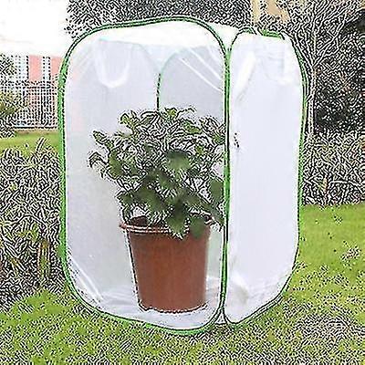 Large butterfly terrarium for insect breeding and observation