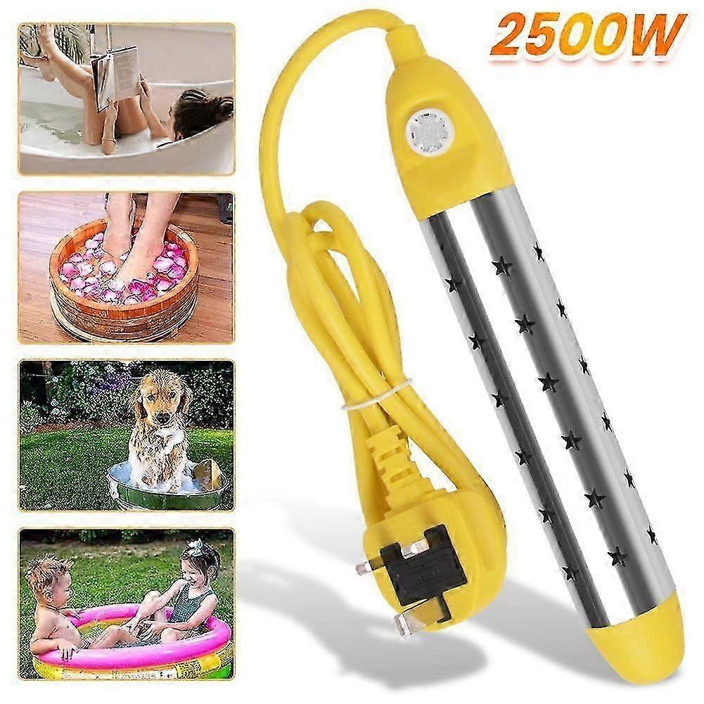 2500W ηλεκτρικός καυτός γρήγορος λέβητας αναστολής θερμοσιφώνων βύθισης φορητός