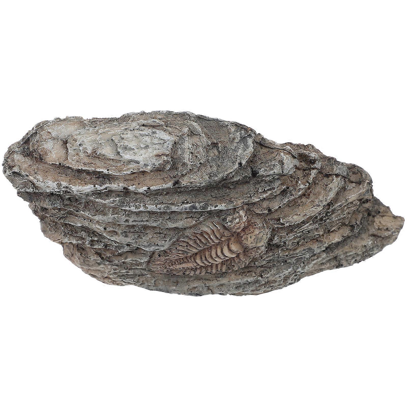 Trilobite Resin Trilobite Specimen for Teaching 4Pcs Grey Set