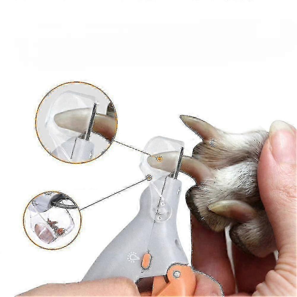 Professional Pet Cat and Dog Nail Clippers with LED Light Nail Trimmer with Magnifying Glass to Prevent Pets from Cutting-Yvan