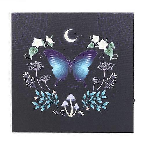 Something Different Midnight Moth Light Up Canvas