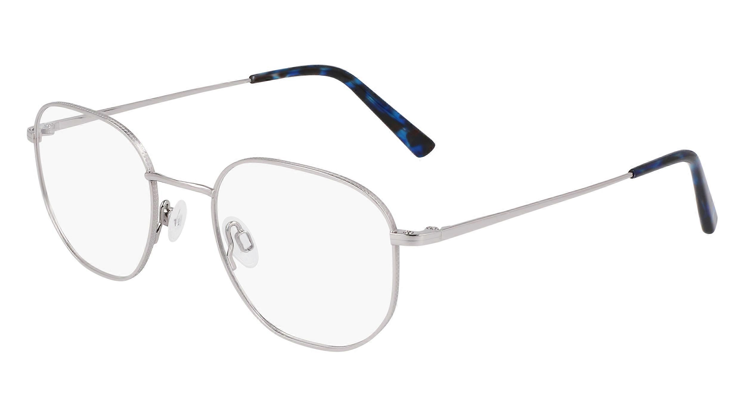 Eyewear Frames FLEXON FLEXON H6076 N 040 SILVER 49/20/140 UNISEX
