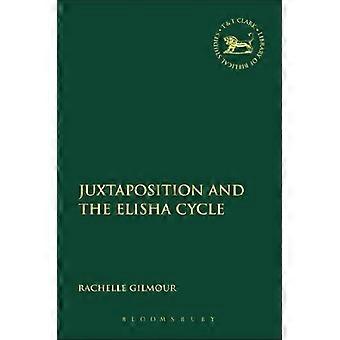 Juxtaposition and the elisha cycle