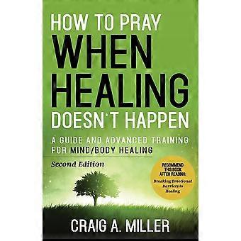 How to pray when healing doesn't happen a guide and advanced training for mindbody healing