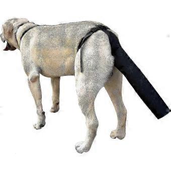 Dog Tail Protector, Dog Tail Guard Dog Tail Cover for Wounds Black Dog Harness compatible for Walkbee A B